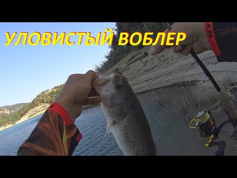 самые уловистые воблеры на щуку и окуня 2016 самые уловистые воблеры на щуку и окуня 2016