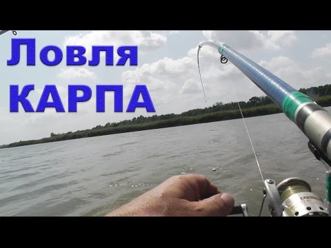 как ловить карпа на поплавочную удочку в пруду как ловить карпа на поплавочную удочку в пруду