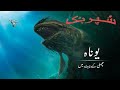 Superbook Urdu | یوناہ_ مچھلی کے پیٹ میں  In the belly of a fish | Ep_201