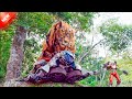 A Giant Mechanical Tiger Attacks the Autobots.  | Explain In Hindi |