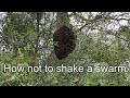 How Not To Shake a Swarm 3-21-2024