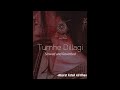 Tumhe Dillagi [Slowed and Reverbed] -Nusrat Fateh Ali Khan