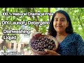 DIY Soapnut Laundry Detergent-Dishwashing Liquid-How to make Soapnut Liquid-Soapnuts with Bioenzymes