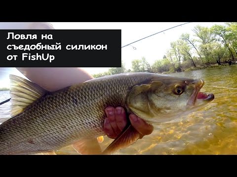 ловля окуня на съедобный силикон видео ловля окуня на съедобный силикон видео