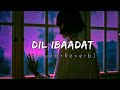 Dil Ibaadat (Slowed+Reverb) - Pritam & KK || Tum Mile || Maya Vibes || Textaudio