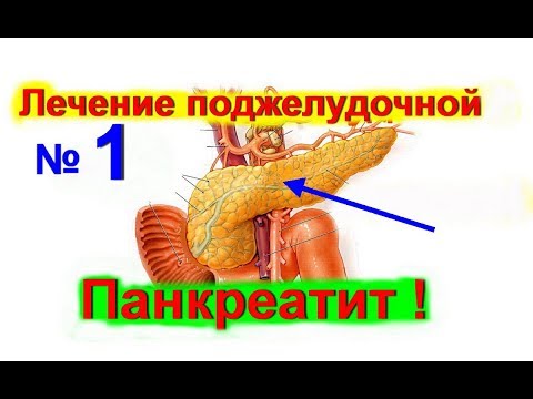 Как лечить заболевание поджелудочную железу Как лечить заболевание поджелудочную железу
