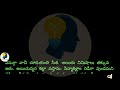 Telugu motivational quotes / jeevitha satyalu / Heart touching stories in Telugu / Telugu stories 12
