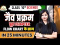Complete Life Processes जैव प्रक्रम in 25 Minutes | Class 10th Science | Pooja Mam 🟠REVISE⚪INDIA🟢