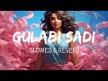 Gulabi Sadi Lofi Song (Slowed + reverb) | Remix Music