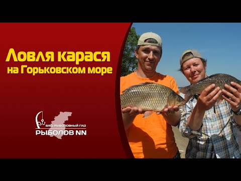 ловим карася в нижегородской области ловим карася в нижегородской области