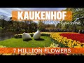 The World's Biggest Flower Garden | Kaukenhof 2024 Walking Tour | The Netherlands 🇳🇱 | 4K