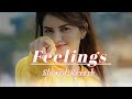 Feelings || Sumit Goswami || Slowed-Reverb || Haryanvi song || Lofi Version