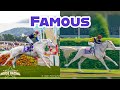 BUYING A WHITE RACEHORSE! Famous Racehorses #3 - Rival Stars Horse Racing | Pinehaven