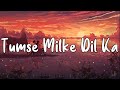 Tumse Milke Dil Ka [Slowed+Reverb]-Sonu Nigam, Altaf Sabri, Hashim Sabri ||Text Audio