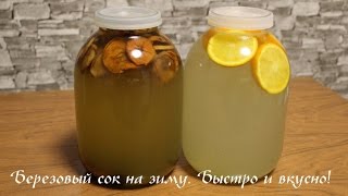 Консервирование берёзового сока в домашних условиях Консервирование берёзового сока в домашних условиях
