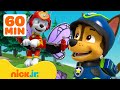 PAW Patrol Forest Rescues & Adventures! w/ Chase and Marshall 🦋 1 Hour Compilation | Nick Jr.