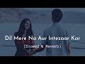 Dil Mere Na Aur Intezaar Kar | Slowed & Reverb | Udit Narayan & Alka Yagnik | Reverb Wallah