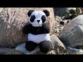 Mr. Panda ~ Addi / Sentro / Circular Knitting