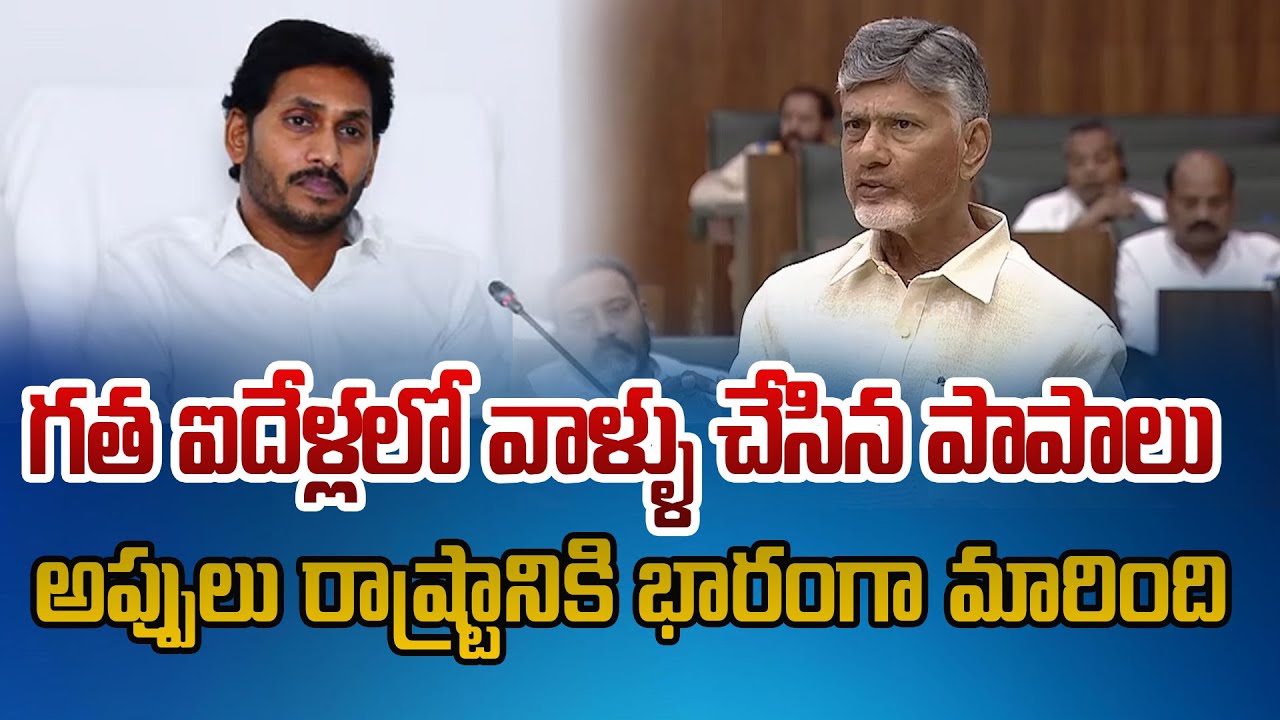 గత ఐదేళ్లలో వాళ్ళు చేసిన అప్పులు రాష్ట్రానికి భారంగా మారింది | CM Chandrababu Speech in Assembly