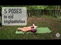 5 Poses to aid implantation