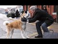 Alan Walker - The True Friend | Hachiko (Official Video)