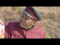 Mathias Mhere - WeHumambo Nditarire ft Mambo Dhuterere (Official Video)