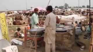 Call for Order on Mobile Eid-ul-Azha 12 Oct 2013 Goats Sheep Camels Cattle Cows Lahore Pakistan