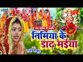 Live - निमिया के ड़ाढ़ मईया | Devi Pachra - Nimiya Ke Dadh Maiya | Latest Devi Geet 2023 Rani Thakur..