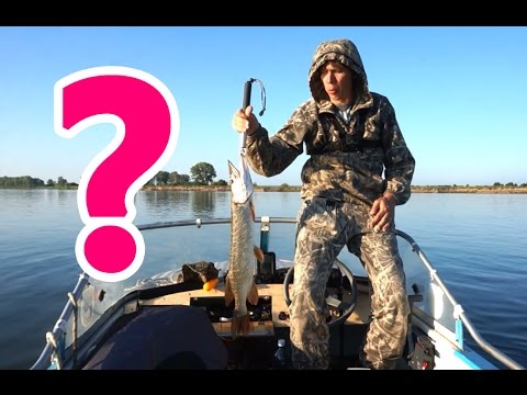 ловля на мандулу на водохранилище ловля на мандулу на водохранилище