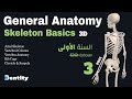 مقدمة في تشريح الهيكل العظمي بالكامل  | Skeleton Anatomy Overview | 3