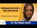 Evangelio De Hoy Miércoles 01 Mayo 2024 l Padre Carlos Yepes l Biblia l San Juan 15,1-8 l Católica