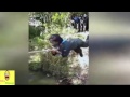 Most Viral Videos Whatsapp Funny Videos 2016