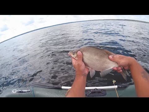 все о ловле леща с лодки видео все о ловле леща с лодки видео