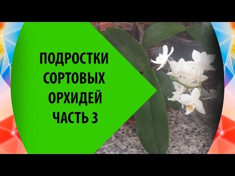 Как заделать откосы входной двери своими руками? К чему снится Девушка во сне по 90 сонникам!