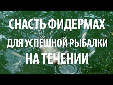 евгений середа ловля на фидер плотвы евгений середа ловля на фидер плотвы