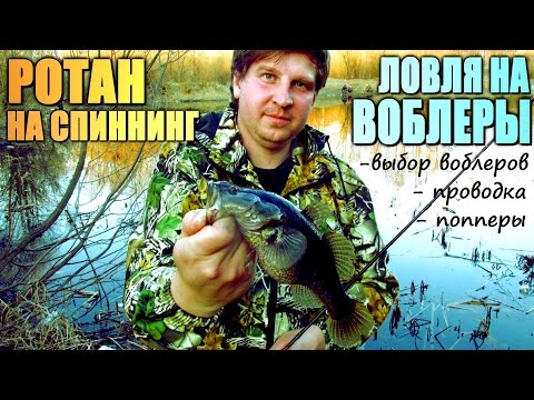 новые видео о рыбалке на воблеры новые видео о рыбалке на воблеры
