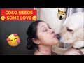 Me and my Coco, having a good time together. Enjoy the video...💖💖💖💖💖💖#members