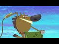 हिंदी Zig & Sharko - Frozen Island (S01E37) - Hindi Cartoons for Kids