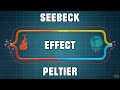 Seebeck & Peltier Effect - How Thermocouples & Peltier Cells work?