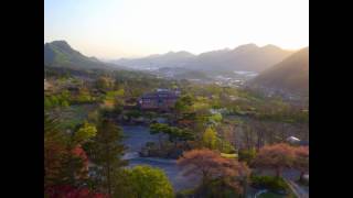 서대산 산머루