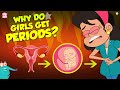 Why Do Girls Get Periods? | Menstruation | The Dr Binocs Show | Peekaboo Kidz