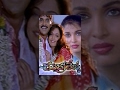 Chandralekha Telugu Full Movie || Nagarjuna, Ramya Krishna, Isha Koppikar