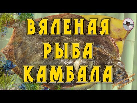 Вяленая рыба камбала от Petr de Cril’on - youtube,youtuber,utube,youtub,youtubr,youtube music,unblock youtube,youtube videos,you