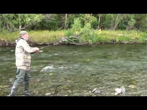 хариус на спиннинг видео хариус на спиннинг видео