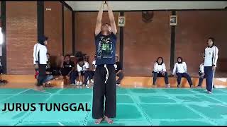 download video seni tunggal ipsilateral definition