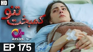 Kambakht Tanno - Episode 175 | A Plus ᴴᴰ Drama | Shabbir Jaan, Tanvir Jamal, Sadaf Ashaan