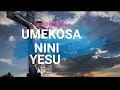 Umekosa Nini Yesu | Alfred Ossonga | With Lyrics