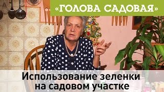Садовая голова Садовая голова