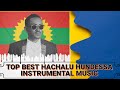 BEST AFAAN OROMO CLASSICAL INSTRUMENTAL MUSIC COLLECTION 2023 (With visiting oromia within 2hrs)