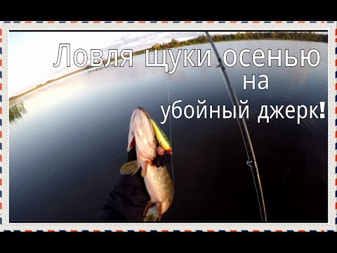 ловля на джеркбейты с берега ловля на джеркбейты с берега